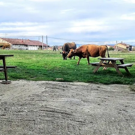 Casa Druna Lee ; Casa En El Campo *