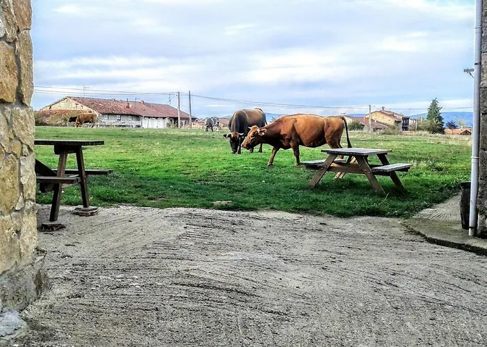 Casa Druna Lee ; Casa En El Campo *