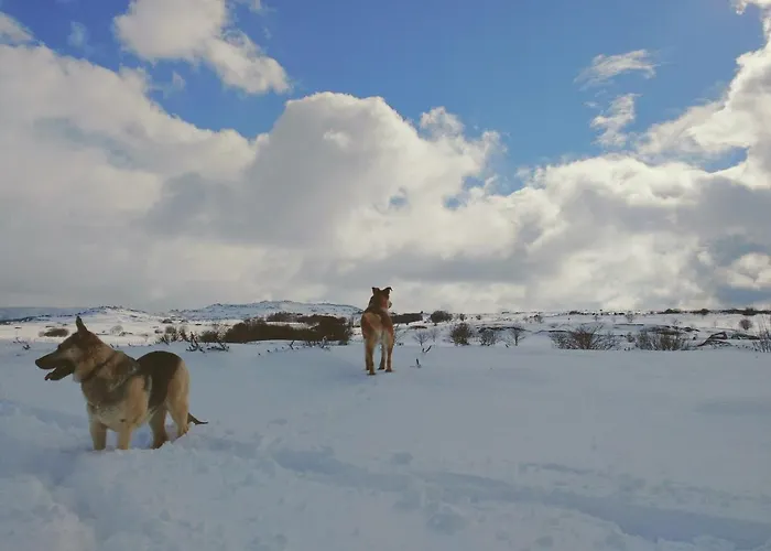 아파트 Casa Druna Lee ; Casa En El Campo *